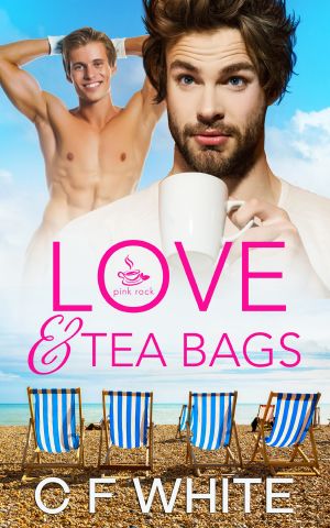 [Pink Rock Series 01] • Love and Tea Bags